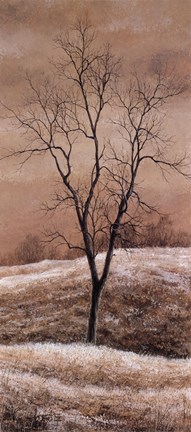 Framed Wintry Sunset Print