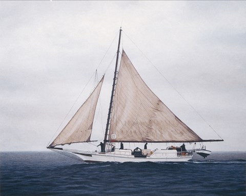 Framed Elsworth Print