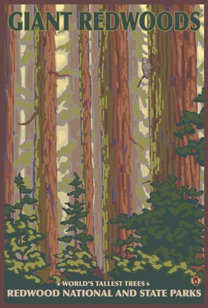 Framed Giant Redwoods Print