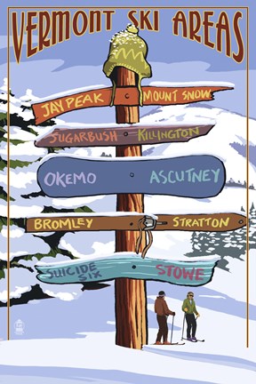 Framed Vermont Ski Areas Signs Print