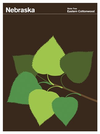 Framed Montague State Posters - Nebraska Print