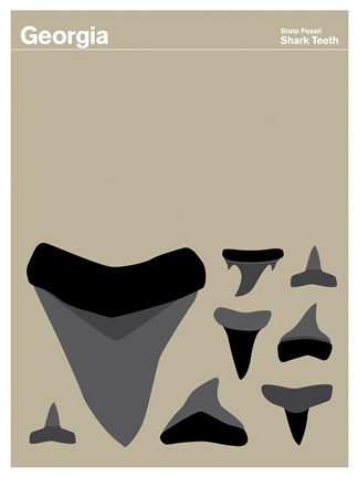 Framed Montague State Posters - Georgia Print