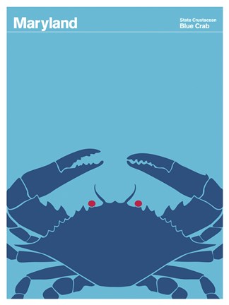 Framed Montague State Posters - Maryland Print