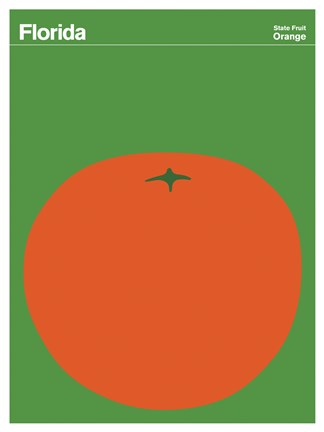 Framed Montague State Posters - Florida Print