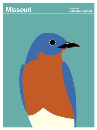 Framed Montague State Posters - Missouri Print