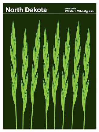 Framed Montague State Posters - North Dakota Print