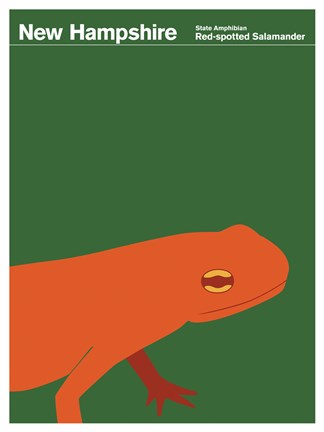 Framed Montague State Posters - New Hampshire Print