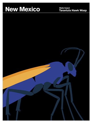 Framed Montague State Posters - New Mexico Print