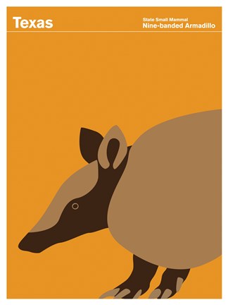 Framed Montague State Posters - Texas Print