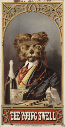 Framed Young Swell, 1869 Print