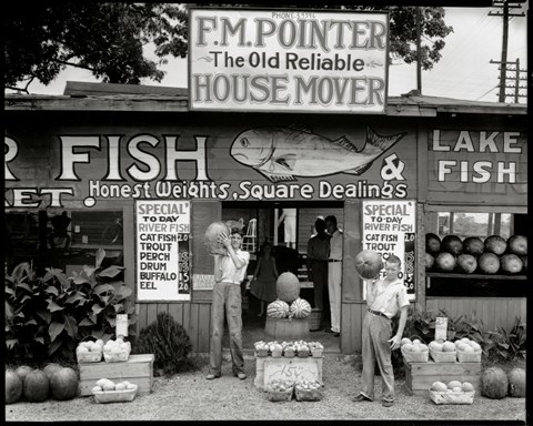 Framed Roadside Stand Near Birmingham, Alabama Print