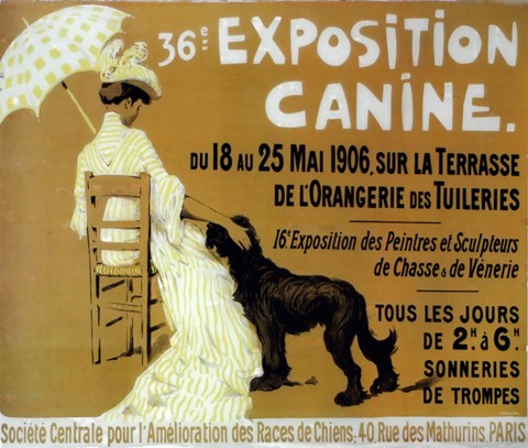 Framed Exposition Canine Print