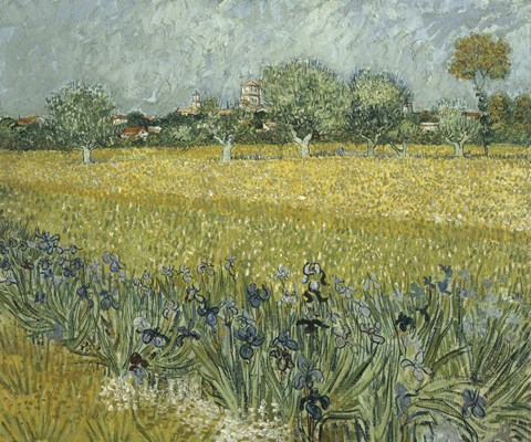 Framed View of Arles with Irises Print