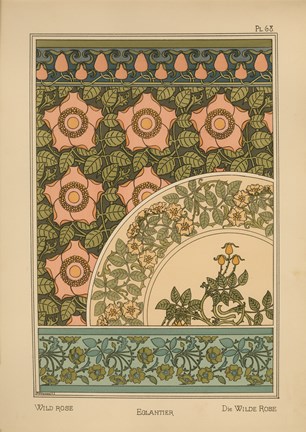 Framed Plate 68 - Wild Rose Print