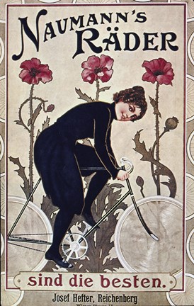 Framed Naumann's Rader Print