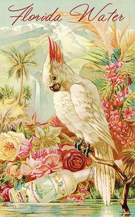 Framed Florida Water Print