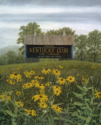 Framed Field Of Memories Print