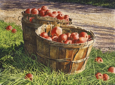 Framed Apple Bushels Print