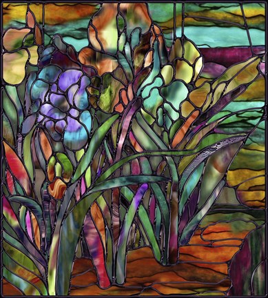 Framed Candy Coated Irises Print