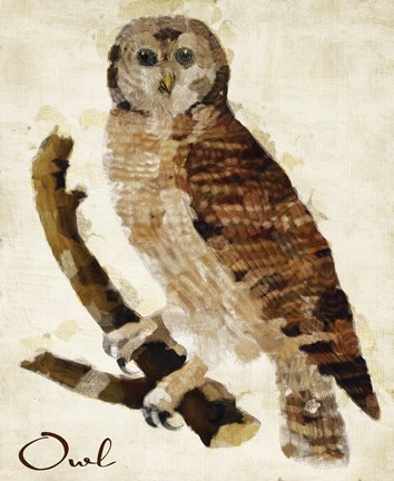 Framed Brown Owl Print