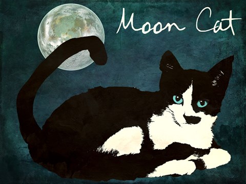 Framed Mooncat Print