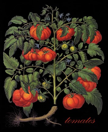 Framed Tomates Print