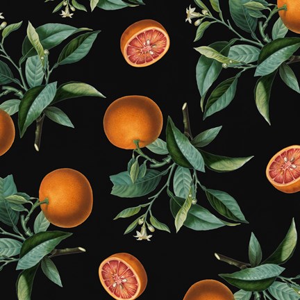 Framed Nature&#39;s Bounty -  Oranges Print