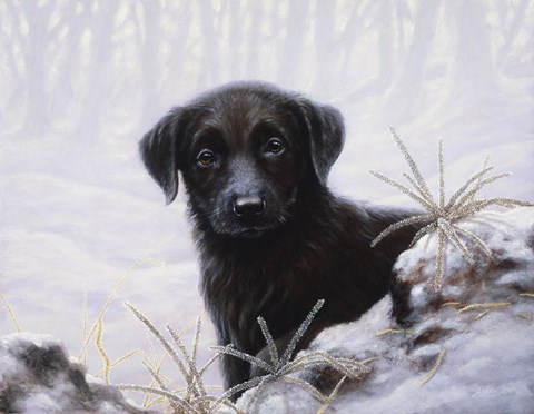 Framed In the Snow Print