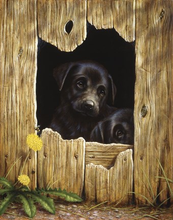 Framed Peek-A-Boo Print