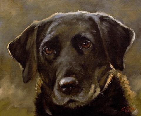 Framed Black Lab 3 Print
