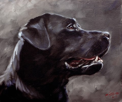 Framed Black Lab 5 Print