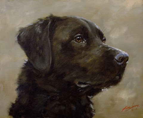 Framed Black Lab 7 Print
