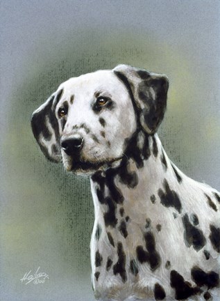 Framed Dalmatian 1 Print