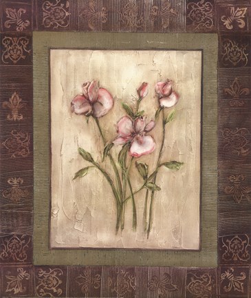 Framed Del Sol II Print