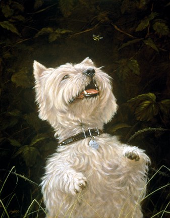 Framed Westie 3 Print