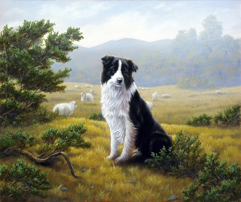 Framed In the Glen Print