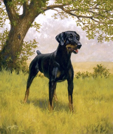 Framed Ready to Go Print