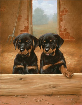 Framed Adorable Print