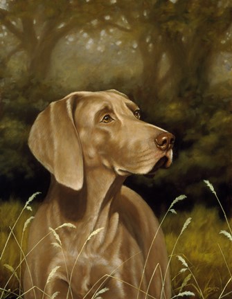 Framed Searching Print