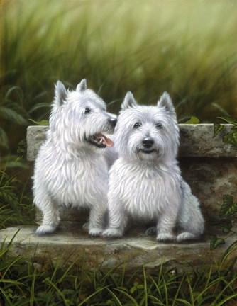 Framed Pair of Westies Print