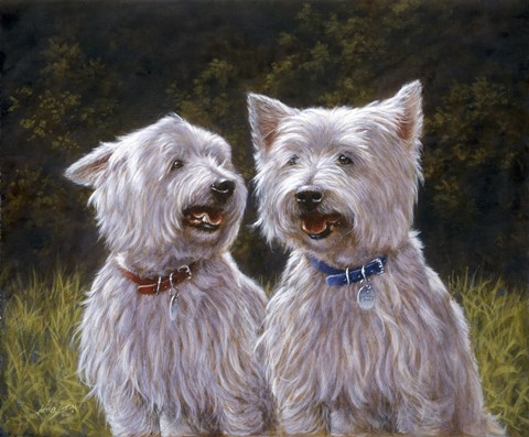 Framed Westie 8 Print