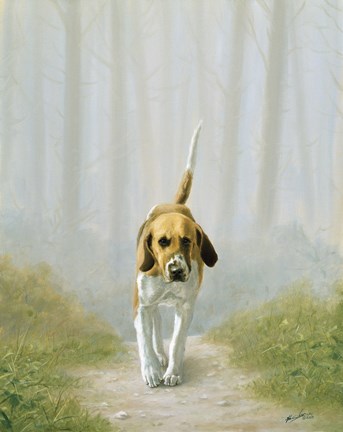 Framed Down the Path Print