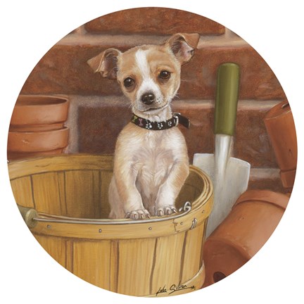 Framed Chihuahua In Basket Print