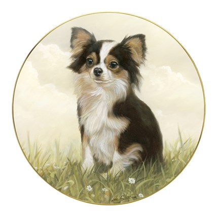 Framed Chihuahua in Field Print