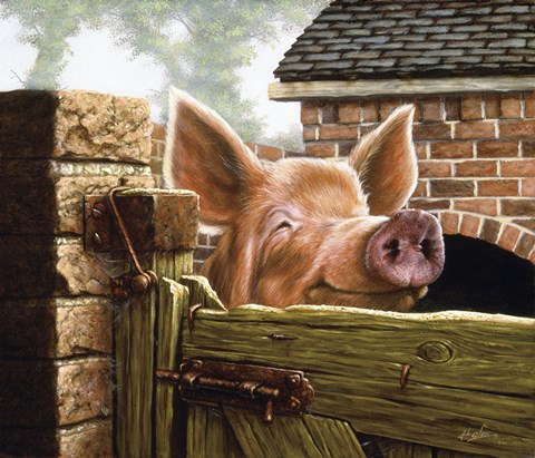 Framed In the Sty Print