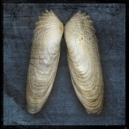 Framed Angel Wings Print