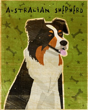 Framed Australian Shepherd Print