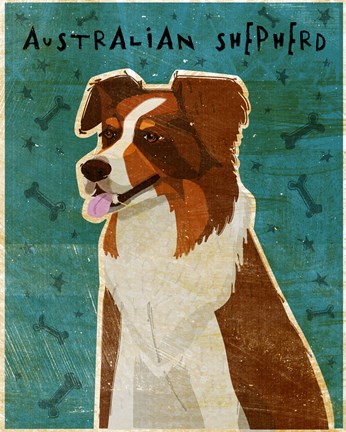 Framed Australian Shepherd Red Print