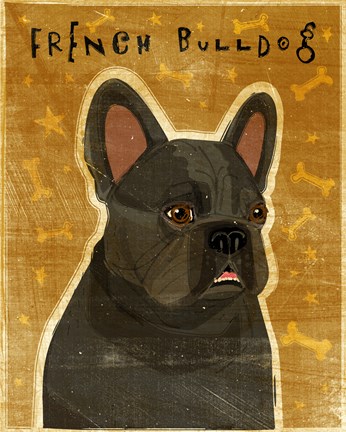 Framed French Bulldog Print