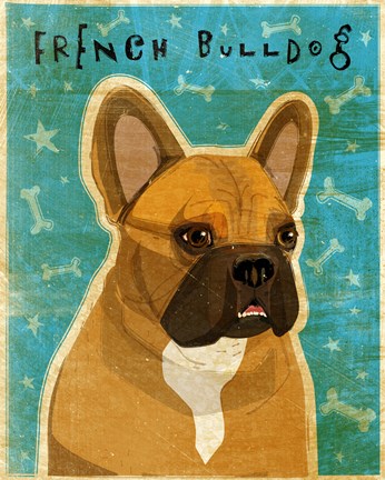 Framed French Bulldog Fawn &amp; White Print